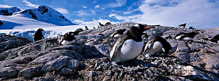 《破败王者：英雄联盟传奇》开发商即将公布特别计划